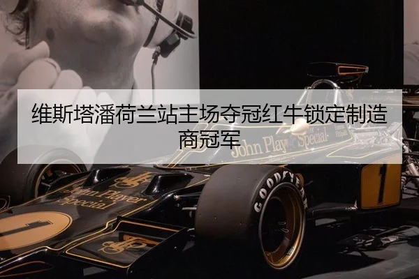 wei-si-ta-pan-he-lan-zhan-zhu-chang-duo-guan-hong-niu-suo-ding-zhi-zao-shang-guan-jun-3-902.jpg