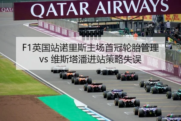 ying-guo-zhan-nuo-li-si-zhu-chang-shou-guan-lun-tai-guan-li-wei-si-ta-pan-jin-zhan-ce-lve-shi-wu-2-398.jpg
